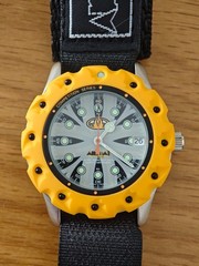 Animal W005 Yellow Bezel [SAMPLE]