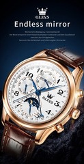 OLEVS 6667 Stylish Multi-functiom Water Resistant Casual Formal Mechanical Watch