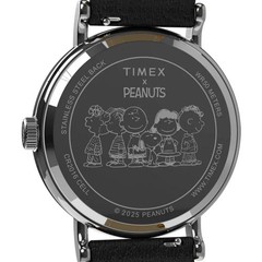 Timex Weekender Peanuts Snoopy Woodstock Pumpkin Limited Edition Watch TW2Y12300