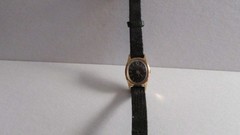 Timex Watch # 1738