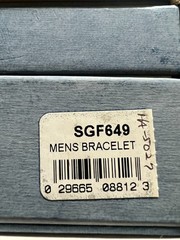 Men’s Stainless Steell Analog Quartz Seiko Watch with Stretch Band – SGF649