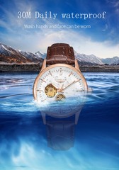 Automatic Mechanical Skeleton Waterproof Rome Elegant Mens Wristwatch Gift