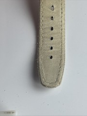 SWATCH STANDARDS – 2004 – GM414 – Pampa’s Rider Dead Battery