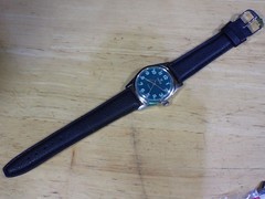 Nino 17 Jewel Men’s Manual-Wind Wristwatch Runs Green Dial Swiss Made