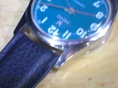 Nino 17 Jewel Men’s Manual-Wind Wristwatch Runs Green Dial Swiss Made