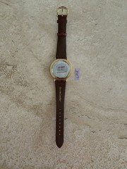 Brittania Cocker Spaniel Puppies Vintage Watch Working Take A Look!
