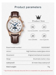 OLEVS 6667 Stylish Multi-functiom Water Resistant Casual Formal Mechanical Watch