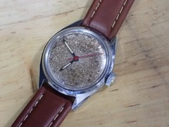 Forrester by Enicar 17 Jewel Men’s Bidynator Automatic Watch runs Tropical Dial
