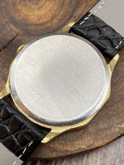 Men’s mechanical watch from the mayor of Kiev Reward watches of Ukraine #9446