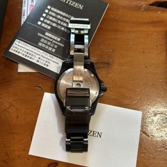 Citizen Promaster World Time Eco Drive Dark Brown SS 40mm Watch 19.5cm Clasp