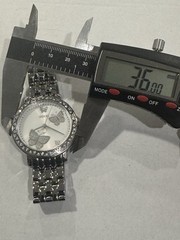 Guess Women’s Watch Butterfly Stainless Steel Silver G86013L