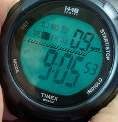 TIMEX 1440 SPORTS 41mm DIGITAL WATCH 842-T5K086 FOLD-OVER NYLON STRAP NEW BATT