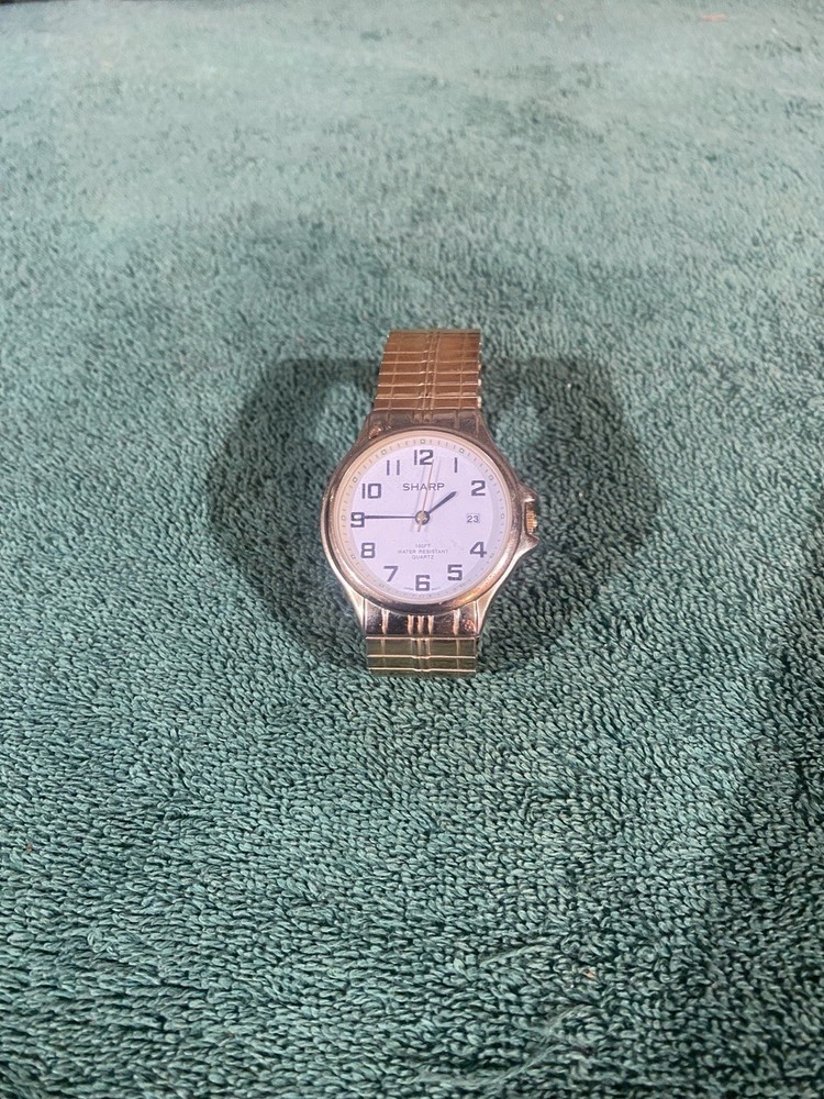 Sharp Men’s Silver Metal Quartz Wristwatch White Dial Date Indicator