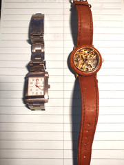 Wenger Design Watch Women Stainless Stee Watch and Skeleton Mechanical Watch