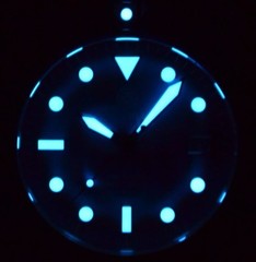 DEEP BLUE PRO DIVER 200 SILVER GREY TITANIUM CRYRSTAL DIAL 42.5MM AUTOMATIC