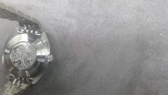 Seestern SE-60S001