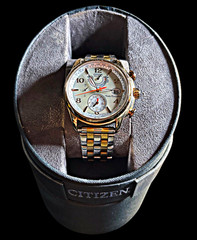 Citizen Eco-Drive Men’s Two-Tone Stainless Steel Radio Controlled 42mm Watch