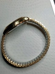 Mens Lorus Casual Everyday Watch Working Battery In Flexi Strap Used Condition