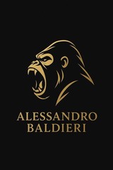 Baldieri MAGNUM M48 INOX AB0061SS-BKD Limited 055/150 WR 30ATM Swiss Automatic