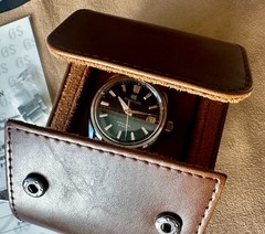 Grand Seiko Evolution 9 SLGH011 “Green Birch” Men’s Steel Automatic Watch