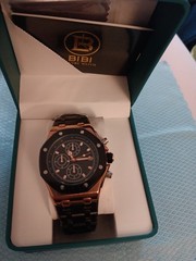 Bibi Luxury Man’s Watch Model B0251