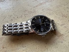CITIZEN Eco-Drive EW1580-50G Women’s Watch SS Sapphire Glass