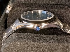 WM Men Welly VH-31 MecaQuartz 100M Sapphire Birch Forest Series SS Dress Watch