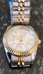 Poedagar classic luxury business quartz Women’s watch New Works