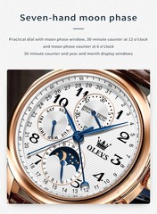 OLEVS 6667 Stylish Multi-functiom Water Resistant Casual Formal Mechanical Watch