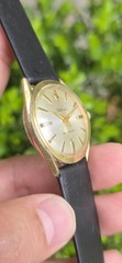 Vintage WALTHAM Shockresistant Concentric Dial 17j Men’s 33.5mm Swiss Made Watch