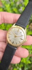 Vintage WALTHAM Shockresistant Concentric Dial 17j Men’s 33.5mm Swiss Made Watch