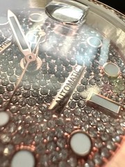 Parker Philip Automatic Stainless Steel Diamond Watch (Rose Gold) PP6975D-3