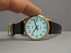 Timex Indiglo Watch Men Easy Reader 35mm Gold Tone Date New Band New Battery
