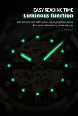 OLEVS 9901 Auto Mechanical Watch Skeleton Crystal Luminous Dial Steel Band Watch