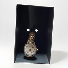 Timex Women’s Easy Reader Stainless Steel Watch T2P298JT- Two toned