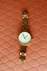 SKAGEN Women’s Gold Tone Watch Includes Box, Extra Links, Booklet, Free Shipping