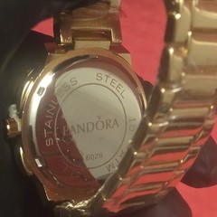 Pandora Gold TONED Watch Stainless Steel