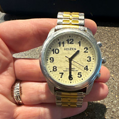 Reizen Talking Radio Controlled Watch, Low Vision Atomic Timepiece, Silver/Gold