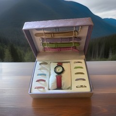 This is a St George watch set with interchangeable bands and bezels
