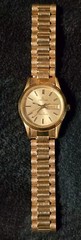 Centina Metal Gold Plated Quartz Swiss Movement Groove Bezel Stainless Steel