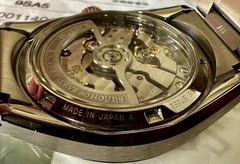 Grand Seiko Evolution 9 SLGH011 “Green Birch” Men’s Steel Automatic Watch