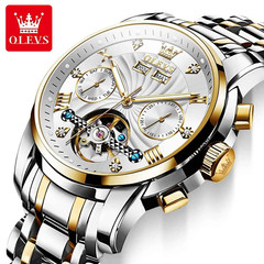 Automatic Mechanical Watch Waterproof Luxury Dial Strap Men Men’s