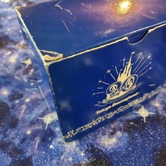 Tokyo Disneyland 20th Anniversary Tinker Bell Watch Ready To Wear | See Video
