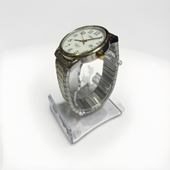 Timex Men’s TW2P81400. Easy Reader Two-Tone. Expansion Band Watch. No Box