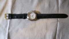 sector 550 Swiss made mens watch