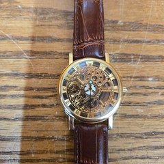Xinslon Chinese translucent watch – Glowing Watch Hands