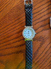 Victoria Wieck Beverly Hills Watch Model B9015 with new battery