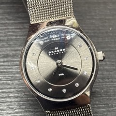 Skagen Denmark Steel Ladies Watch 233XSSTM 24mm Miyota Co 5Y20 Movement