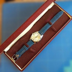 Manual Wind Watch Citizen Homard Date 17 Jewels Screw Back Case