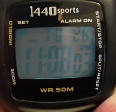 Timex 1440 Sports Watch Indiglo W/R 50M Chrono/Timer/Alarm/Stopwatch W-131